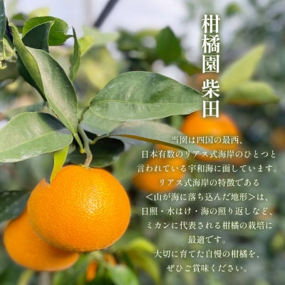 <温州みかんジュース 720ml×6本>果汁100% ストレート みかん 愛媛