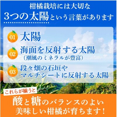 先行受付 TSUGUMI せとかジュース 180ml×6本「2027年4月から順次発送』