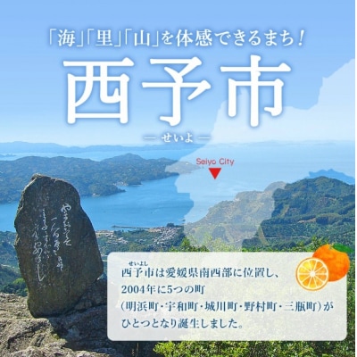 <愛媛県西宇和産 紅マドンナジュース 720ml×2本> みかん 柑橘 果物  愛媛 おいしい