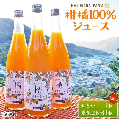 <柑橘100%ジュース> ストレートジュース 果汁100% 愛媛 かじわらFARM MKF0005
