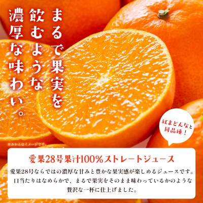 <柑橘100%ジュース> ストレートジュース 果汁100% 愛媛 かじわらFARM MKF0007