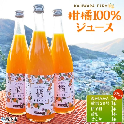 <柑橘100%ジュース> ストレートジュース 果汁100% 愛媛 かじわらFARM MKF0003