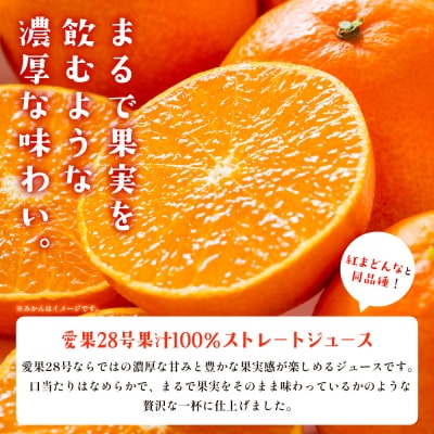 <柑橘100%ジュース> ストレートジュース 果汁100% 愛媛 かじわらFARM MKF0003