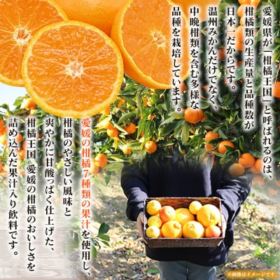 Michill つぶみかん 175ml 12本『最短10営業日以内に発送予定』愛媛県産 西宇和