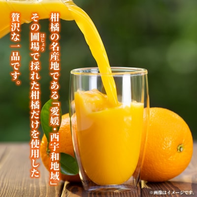 <媛一ジュース まどんな 500ml×6本>『最短10営業日以内に発送予定』国産 マドンナ 愛媛県産