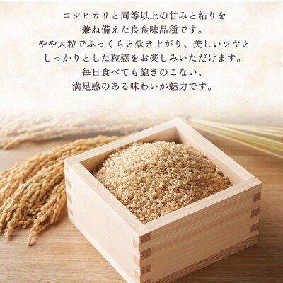 <にじのきらめき 玄米 約5kg西予市宇和町産>愛媛産 米 コメ おいしい