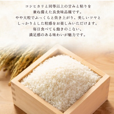 <にじのきらめき 約5kg西予市宇和町産> 愛媛県 えひめ お米 コメ おいしい