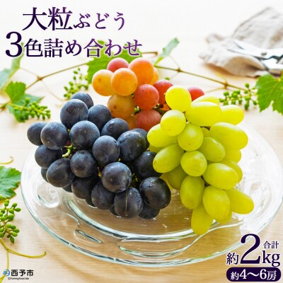 <大粒ぶどう3色詰め合わせ 約2kg(約4～6房)>  シャインマスカット フルーツ ブドウ