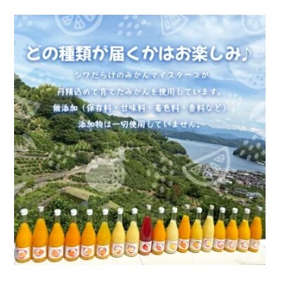 一歩会 ジュエリーボックス ジュース飲み比べセット 720ml 2本入り 2回定期便 果汁100%