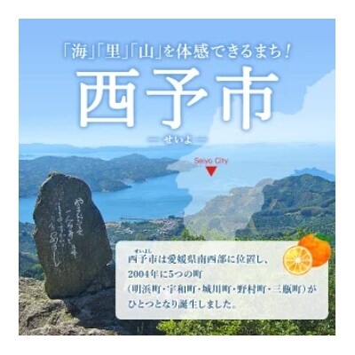 一歩会 ジュエリーボックス ジュース飲み比べセット 720ml 2本入り 3回定期便 果汁100%