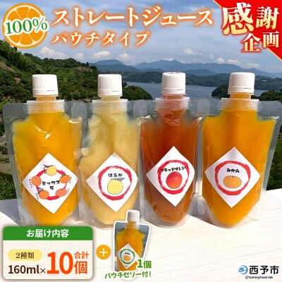 【感謝企画】<100%ストレートジュース パウチタイプ160ml×10個+パウチゼリー165g1個