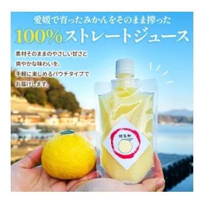 【感謝企画】<100%ストレートジュース パウチタイプ160ml×10個+パウチゼリー165g1個
