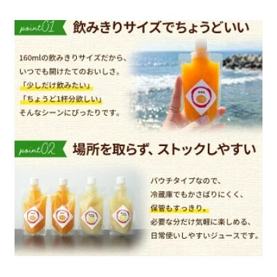 【感謝企画】<100%ストレートジュース パウチタイプ160ml×10個+パウチゼリー165g1個