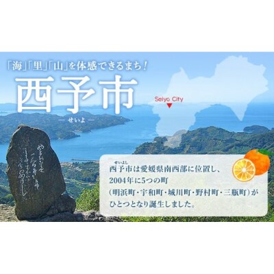 <西予の美味しいぶどう セレクトセット/黒系大粒ぶどう&ベリーA 約2kg(岡山農園)>