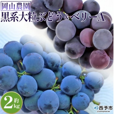 <黒系大粒ぶどう&ベリーAセット 約2kg>果物 くだものフルーツ 葡萄