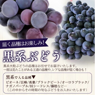 <黒系大粒ぶどう&ベリーAセット 約2kg>果物 くだものフルーツ 葡萄