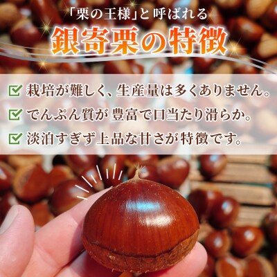 <栗の王様 銀寄栗(生栗)2L4kg　銀寄 ぎんよせ 甘い 生栗 和栗>国産 くり 果物