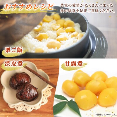 <栗の王様 銀寄栗(生栗)3L4kg　銀寄 ぎんよせ 甘い 生栗 和栗>国産 くり 果物