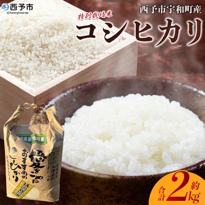 <令和7年産 西予市宇和町産 特別栽培米コシヒカリ 約2kg>