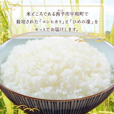 <令和7年産 西予市宇和町産 特別栽培米コシヒカリ 約2kg>