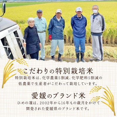 <令和7年産 西予市宇和町産 特別栽培米コシヒカリ 約2kg>