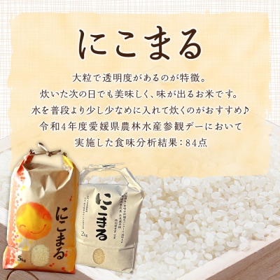 <令和7年産 西予市宇和町産 にこまる 約2kg> お米 コメ 白米 精米