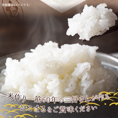 <令和7年産 西予市宇和町産 にこまる 約2kg> お米 コメ 白米 精米