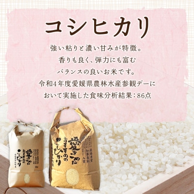 <令和7年産 西予市宇和町産 コシヒカリ 約2kg> お米 コメ こめ 白米 精米