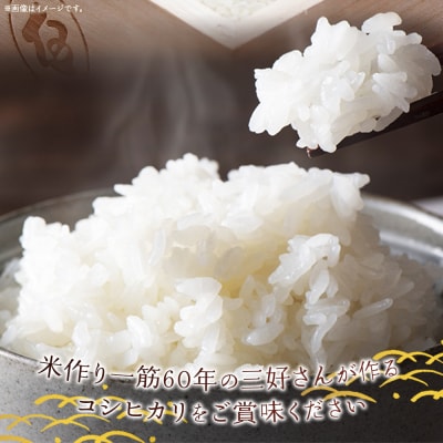 <令和7年産 西予市宇和町産 コシヒカリ 約2kg> お米 コメ こめ 白米 精米