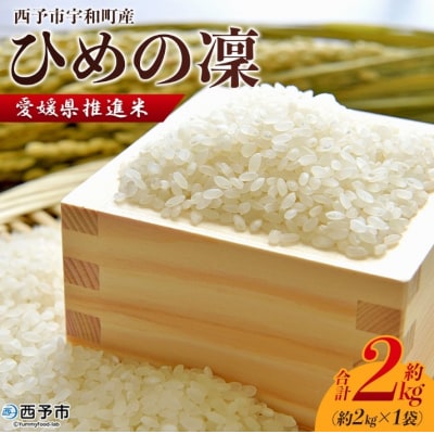 <令和7年産 愛媛県推進米 ひめの凜 約2kg> お米 コメ こめ 白米 精米