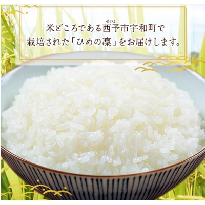 <令和7年産 愛媛県推進米 ひめの凜 約2kg> お米 コメ こめ 白米 精米