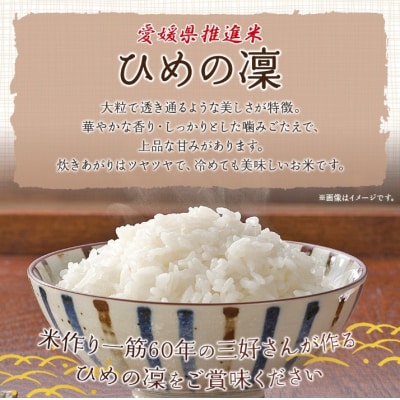 <令和7年産 愛媛県推進米 ひめの凜 約2kg> お米 コメ こめ 白米 精米