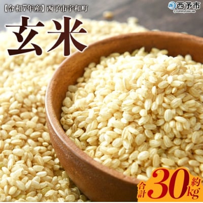 <令和7年産 西予市宇和町産 玄米 30kg> お米 コメ ご飯