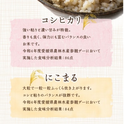 <令和7年産 西予市宇和町産 玄米 30kg> お米 コメ ご飯