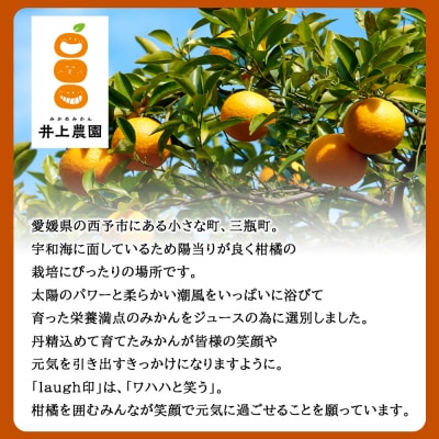 <果汁100%みかんジュース 飲み比べ3本> セット のみくらべ 柑橘ジュース