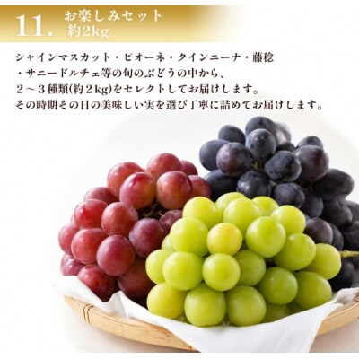 <西予の美味しいぶどう  約2kg> 果物 くだもの フルーツ ぶどう