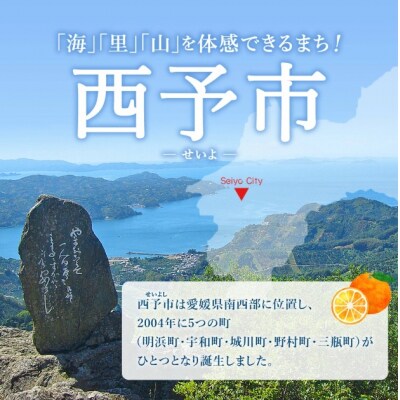 <西予の美味しいぶどう  約2kg> 果物 くだもの フルーツ ぶどう