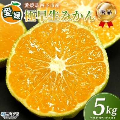 <愛媛産 秀品 極早生みかん(SまたはMサイズ)約5kg>　 蜜柑 ミカン みかん 温州みかん