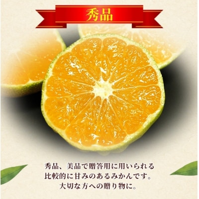 <愛媛産 秀品 極早生みかん(SまたはMサイズ)約5kg>　 蜜柑 ミカン みかん 温州みかん