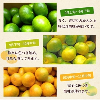 <愛媛産 秀品 極早生みかん(SまたはMサイズ)約10kg>　 蜜柑 ミカン みかん 温州みかん