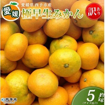 <愛媛産 訳あり 極早生みかん(サイズ混合)約5kg >蜜柑 ミカン みかん 訳アリ