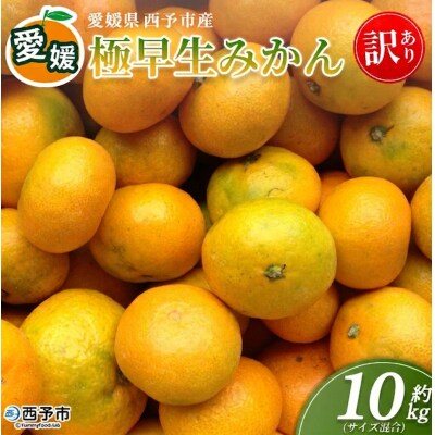<愛媛産 訳あり 極早生みかん(サイズ混合)約10kg蜜柑 ミカン みかん 訳アリ