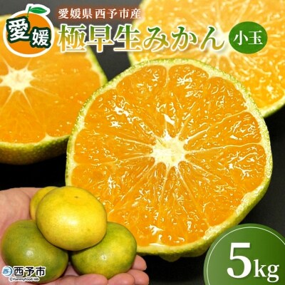 <愛媛産 小玉 極早生みかん(2S～3Sサイズ混合)約5kg 蜜柑 ミカン みかん 温州みかん