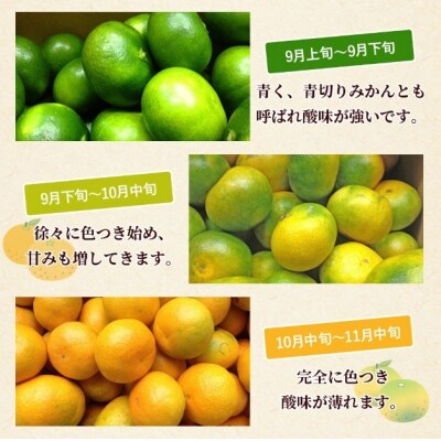 <愛媛産 小玉 極早生みかん(2S～3Sサイズ混合)約5kg 蜜柑 ミカン みかん 温州みかん