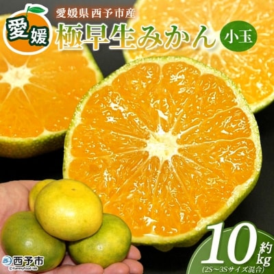 <愛媛産 小玉 極早生みかん(2S～3Sサイズ混合)約10kg 蜜柑 ミカン みかん 温州みかん