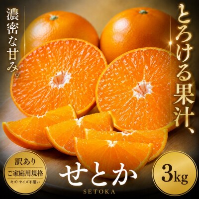 <訳あり 愛媛県産せとか 合計約3kg>セトカ とろける 甘い ご家庭用 