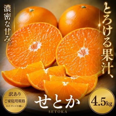 <訳あり 愛媛県産せとか 合計約4.5kg>セトカ とろける 甘い ご家庭用 果汁 果物 くだもの