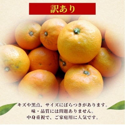 <訳あり 愛媛県産せとか 合計約4.5kg>セトカ とろける 甘い ご家庭用 果汁 果物 くだもの
