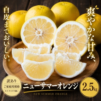 <訳あり 愛媛県産ニューサマーオレンジ 合計約2.5kg>日向夏 小夏 甘い ご家庭用 果汁 