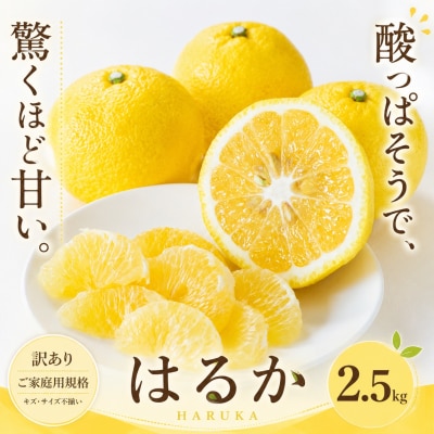 <訳あり 愛媛県産はるか 合計約2.5kg>上品な甘さ 甘い あまい 果汁  家庭用